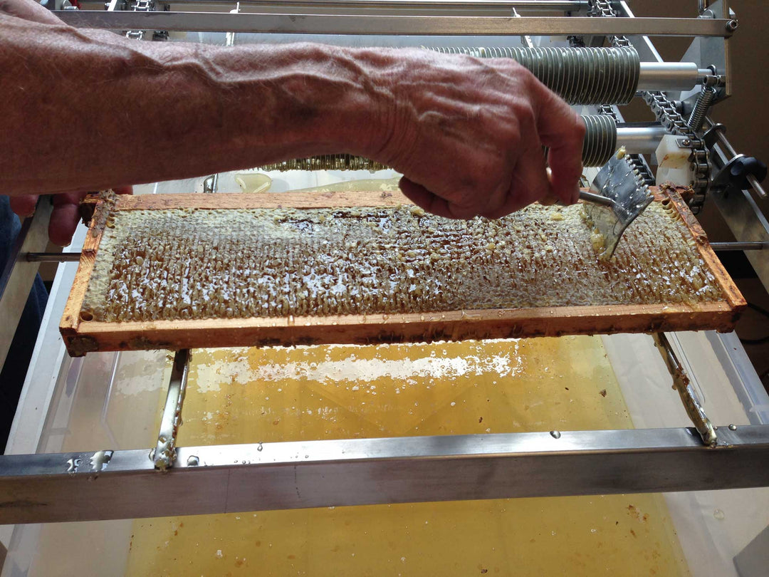Honey and the &ldquo;Standard of Identity&rdquo;: Does the FDA Define What Counts as Honey?