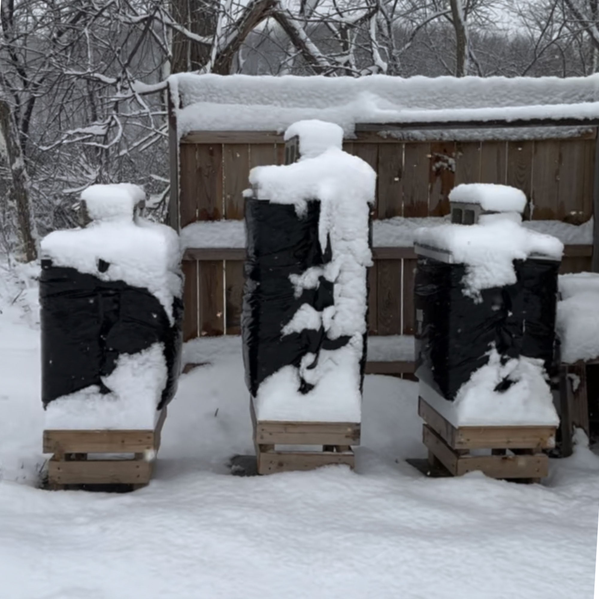 How to Winterize Beehives: Essential Fall Preparation for Maryland Beekeepers