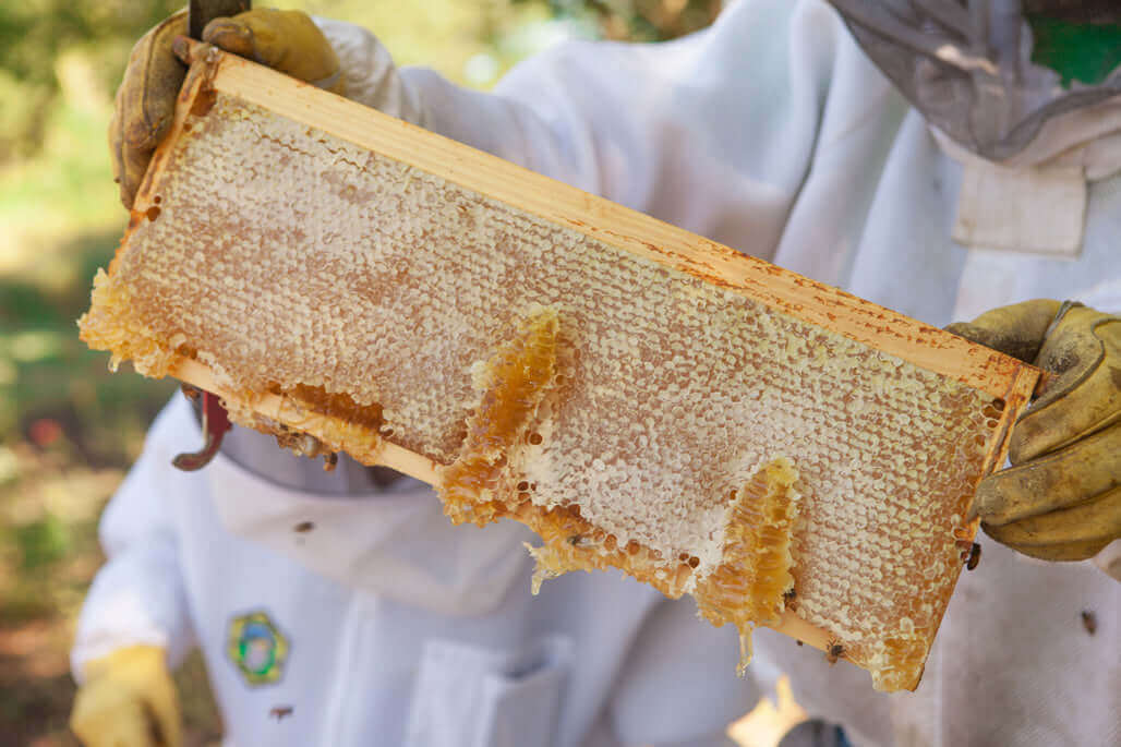 Bee Inspired Spring Honey