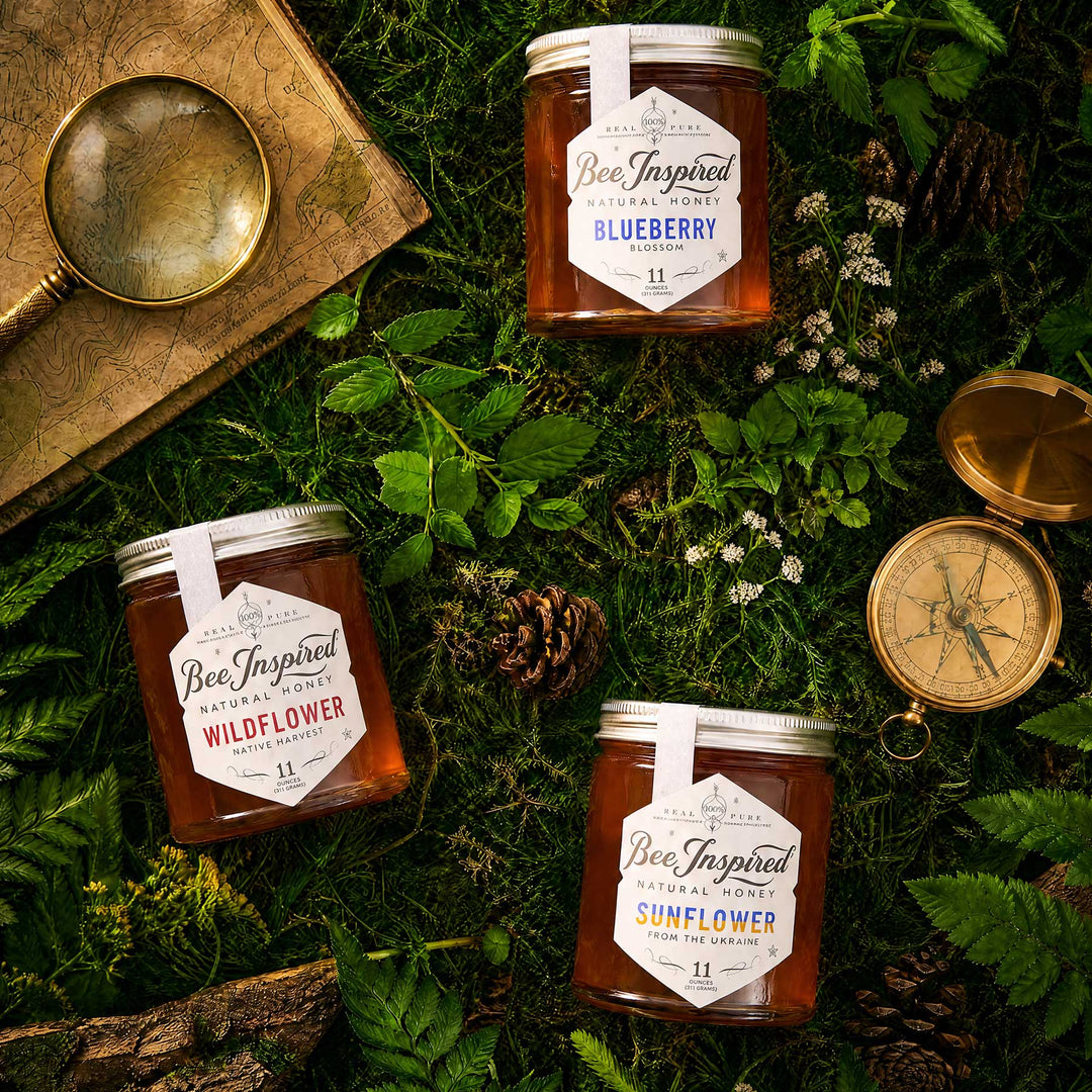 Three glass jars of Bee Inspired Natural Honey arranged on a forest floor with moss, pinecones, a magnifying glass, and a compass. The jars are labeled Blueberry, Wildflower, and Sunflower.