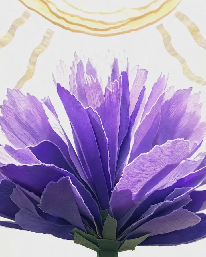 video about lavender and hot weather