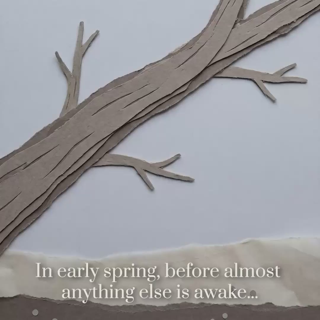 apple honey animation